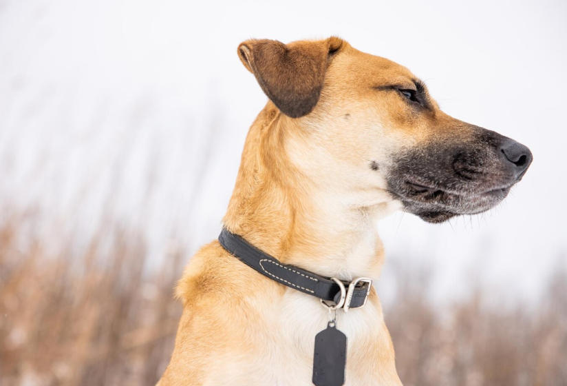 a hand holding a phone with qr code on it
